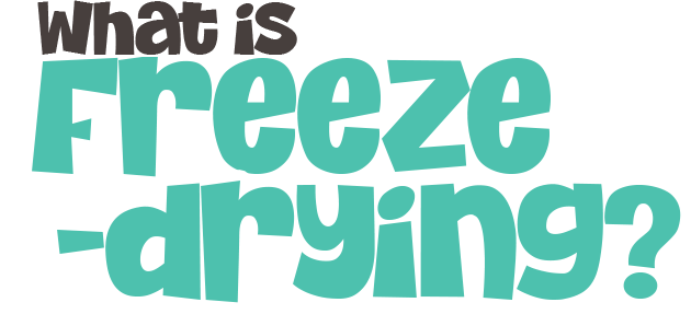 freeze drying